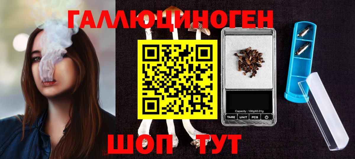 Псилоцибиновые грибы Cubensis  Галлюциногенные грибы мицелий  Вход с VPN  Серпухов 